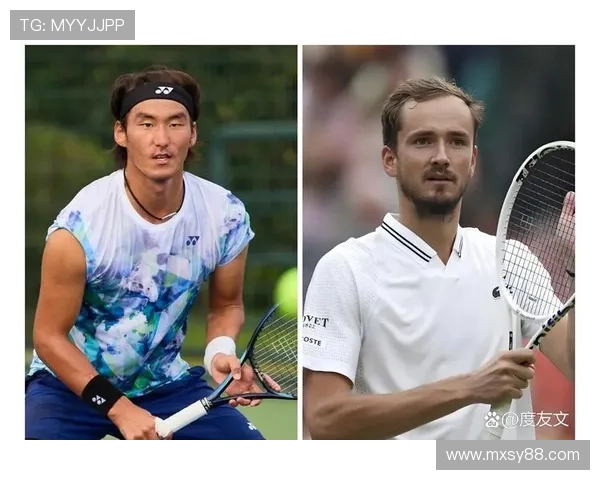 网球赛季精彩回顾：从大满贯到年轻球员崛起的全新篇章